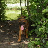Foto van patricia,  *Spikey* Nino & Lola