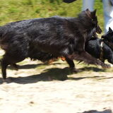 Foto van Joep en Olivia