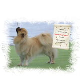 Hier is Moena Junior World Winner 2011 geworden
