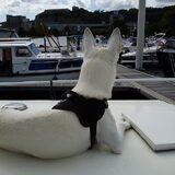 Op de boot