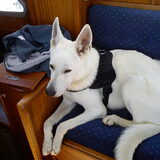 Op de boot...