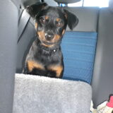 in de auto.