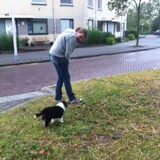 Foto van Puck en Inca