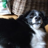 Foto van silke & woody