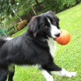 Foto van silke & woody