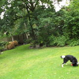 Foto van silke & woody