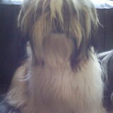 scooby en biba