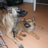 Foto van Hope & Rambo
