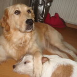 Foto van Jack en Dais