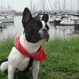 bij de jachthaven