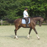 Foto van liesbeth,Turbo,Luna, Levi en Faith
