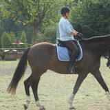 Foto van liesbeth,Turbo,Luna, Levi en Faith