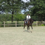 Foto van liesbeth,Turbo,Luna, Levi en Faith