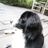 Foto van silke & woody