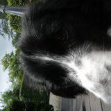 Foto van silke & woody