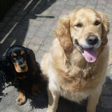 ME AND MY SHADOW ! {Lizzy en haar beste vriendje Shadow}