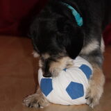 Riley