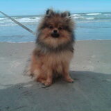 9 maand oud