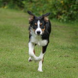 Foto van BC & CC