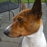 Foto van Myrthe & Yebo