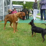 Foto van Ali  &  Rocky