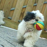 Spelen met de bal is leuk!!!