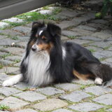 Foto van Kath