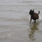 zee oostduinkerke!