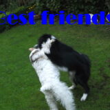 Foto van silke & woody