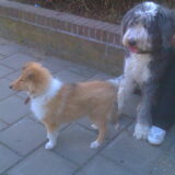 Lekker gespeeld met Binky