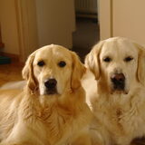 2 kanjers
