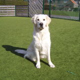 Foto van ~ Eveline en Zita ~