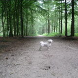 Foto van Linda en Nousya