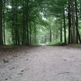 Foto van Linda en Nousya