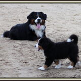 Mijn eerste kleine wandeling, Zyko houd me goed in de gaten ...