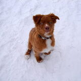 Sneeuw is leuk!