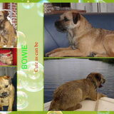 voor corrie koopman