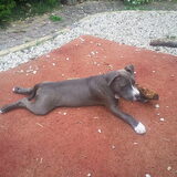 languit op het buitenkleed.