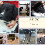 Voor Soof & Sammy