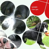 Voor Silke & Woody