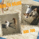 Voor anais, filou en kajou