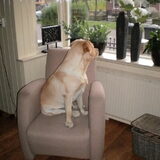 Foto van Ina en Boris