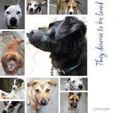 Voor Melissa & Dempsey
