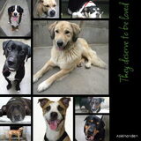 Voor Melissa & Dempsey