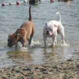 Foto van Sasch&de 2 idioten ^.^
