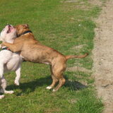 Foto van Sasch&de 2 idioten ^.^