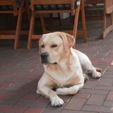 Foto van Ina en Boris