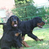 Foto van J. & T. van H & D