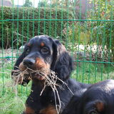 Foto van J. & T. van H & D