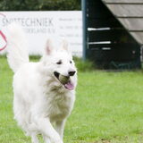 Foto van Hetty & Skipper